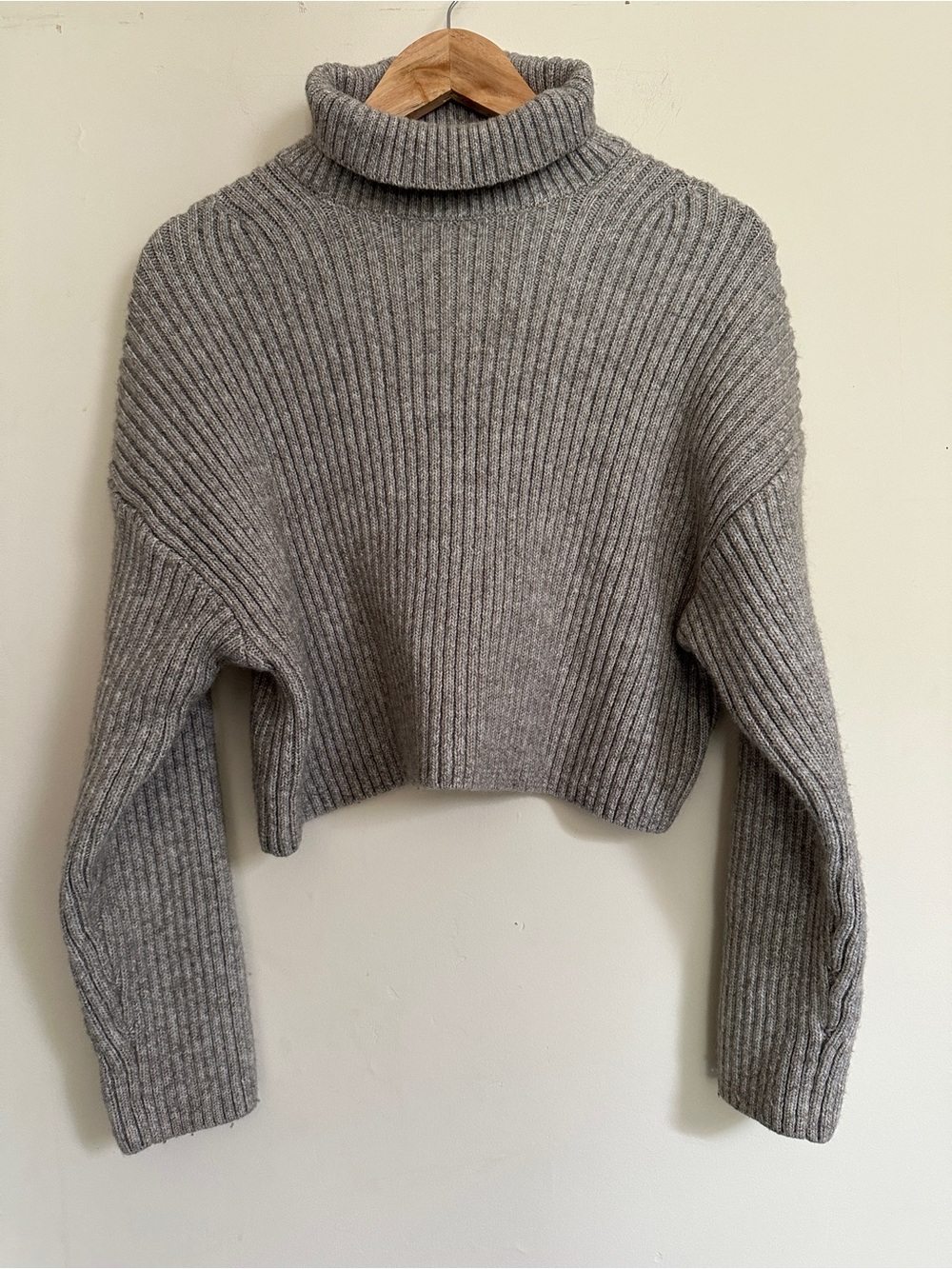 H&M Cropped Turtleneck Sweater